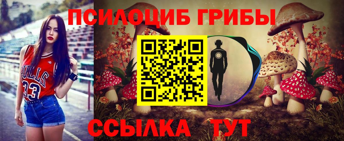 Псилоцибиновые грибы Magic Shrooms Азов