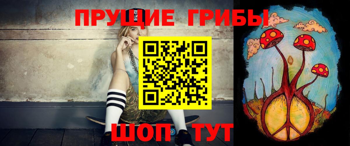 Азов  Псилоцибиновые грибы Cubensis  Вход с VPN  Псилоцибиновые грибы мицелий 